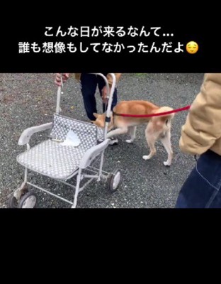 なんと一時帰宅！