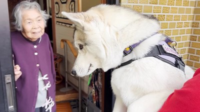 じっと見つめるおばあちゃん