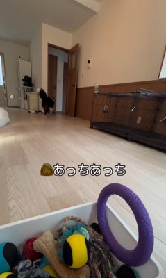 ボールを片付けるサンゴくん7