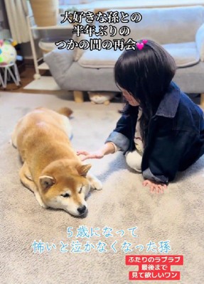 あたたかな時間の流れ