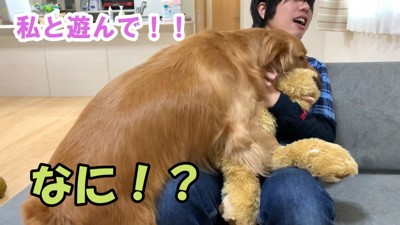 嫉妬するよもぎちゃん2