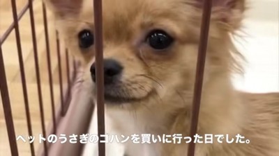 出会いは突然訪れた