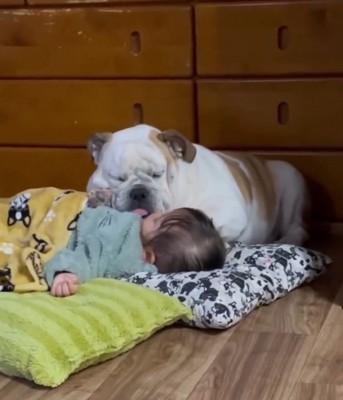 横になっている女の子の体の上に前足を乗せる犬