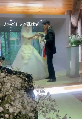抱っこされる犬4