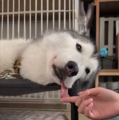 普段はイケメン