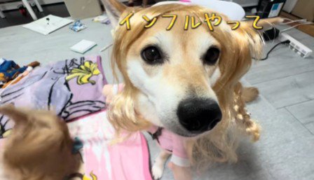 とってもお似合いです♡