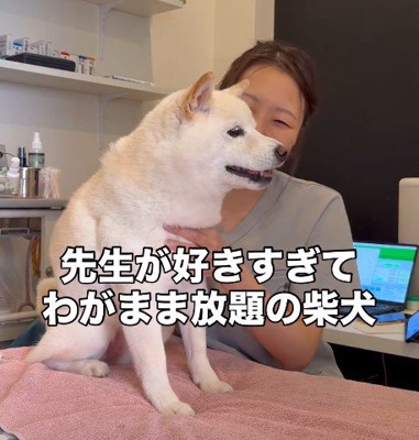 動物病院に来たココちゃん