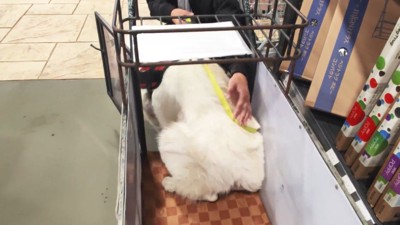 狭いけれど、強引にターン