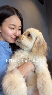 女性に顔を近づける子犬