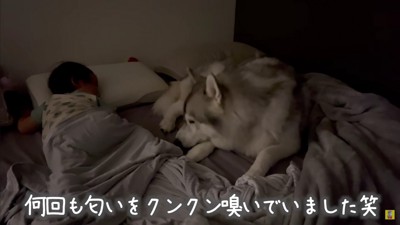 心配そうに寄り添う