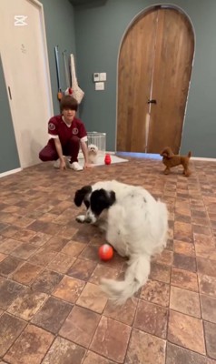 テトくんが幸せを掴むまで4