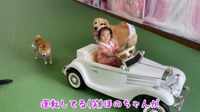 ひとりでも楽しい♪