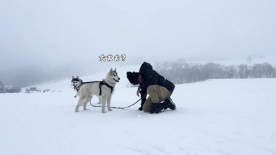 パパさん、限界…