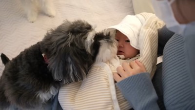 赤ちゃんに気付いて、匂いをクンクン…