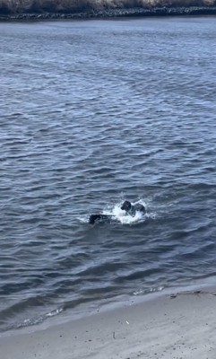 楽しいに決まってる