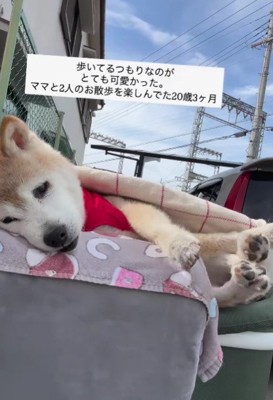 手足をバタバタ…