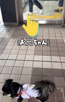お兄ちゃん登場