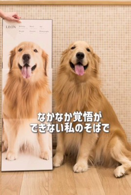 覚悟はできない…