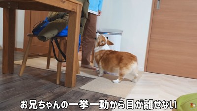 お兄ちゃんに夢中
