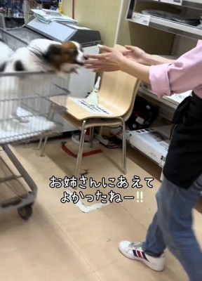 手を広げる人に近づく犬