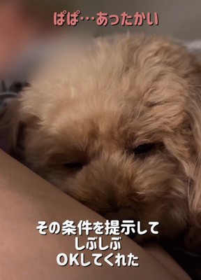 すっかり仲良しな関係に♡