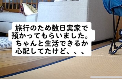 カメラ映像