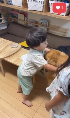 ゴールデンの頭をホールドしている子供