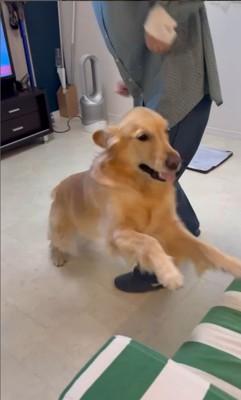 モコちゃんとお姉さんの再会5