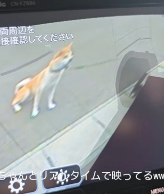 シュールな光景に爆笑♪