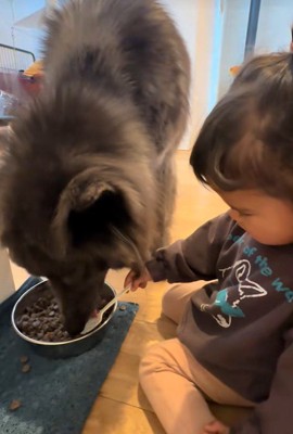 娘さんがお世話をしたがると…