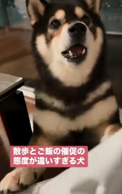 唸るももちゃん