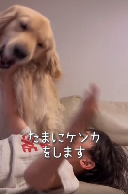 ケンカをする男の子とエルくん