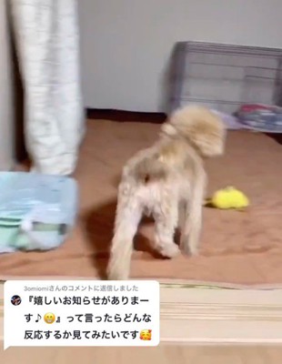 「嬉しいお知らせがあります」