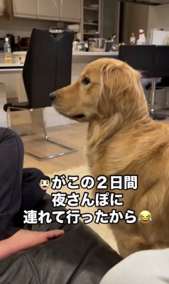 じーーーっ
