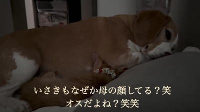 まるで親子みたい