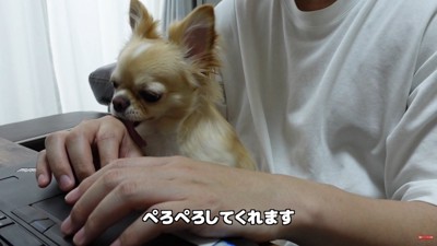 お仕事中に甘えるみるくちゃん7