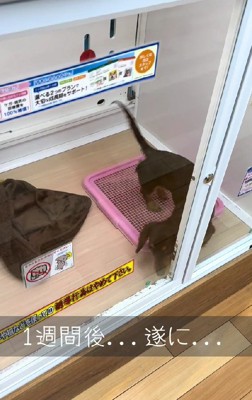 そして、お迎えの日…