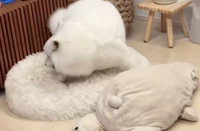 散歩