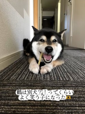 笑顔の鶴ちゃん