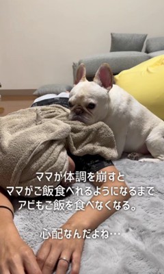 寄り添うアビーちゃん