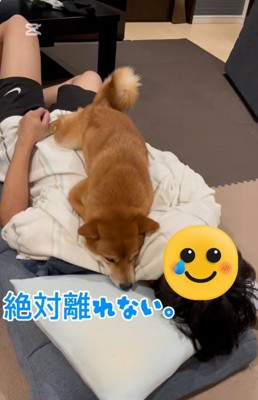くっつきたいなぎ君
