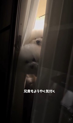 バレないで家を出られるか挑戦8