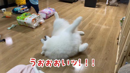 微妙に噛み合わなかった
