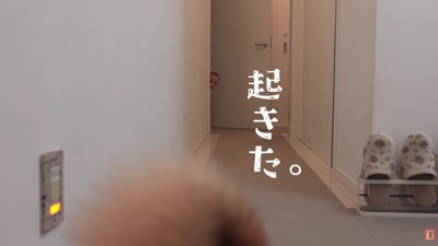 みーくんが起きてきた