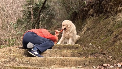 起こそうとしています！