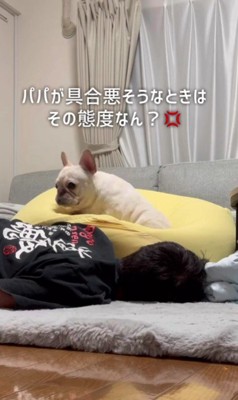 パパが寝込んでいると…