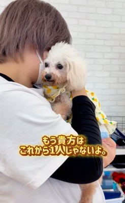 抱きしめられる犬