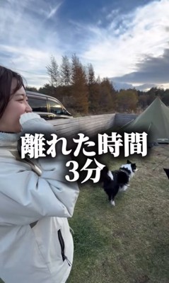 飼い主と戻る中型犬