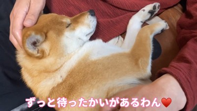 とっても幸せそう♡