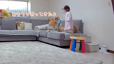 「ちょうだい」